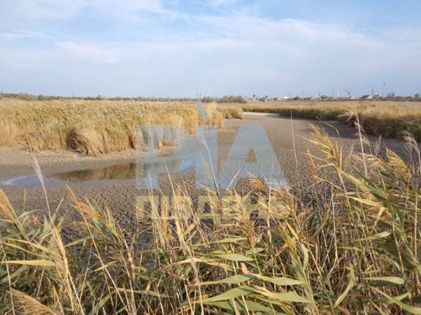 Російський “Аватар”: як РФ знищує екологію на окупованих територіях. Місця найбільшого лиха