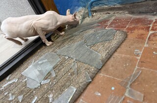 Голова НСЖУ розповів, як біля його будинку вибухнув російський дрон