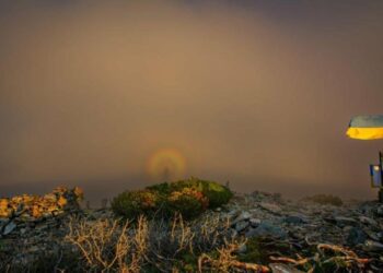 “Камера не переставала клацати”: на Прикарпатті зафіксували рідкісне і дивовижне видовище (ФОТО)