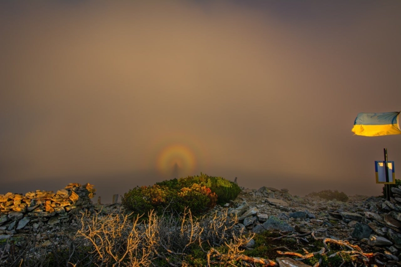 "Камера не переставала клацати": на Прикарпатті зафіксували рідкісне і дивовижне видовище (ФОТО)