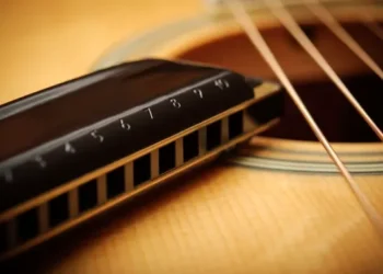 канон губка гармошка