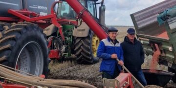 Горох рано звільняє поле і при цьому накопичує багато азоту та залишає його наступній культурі