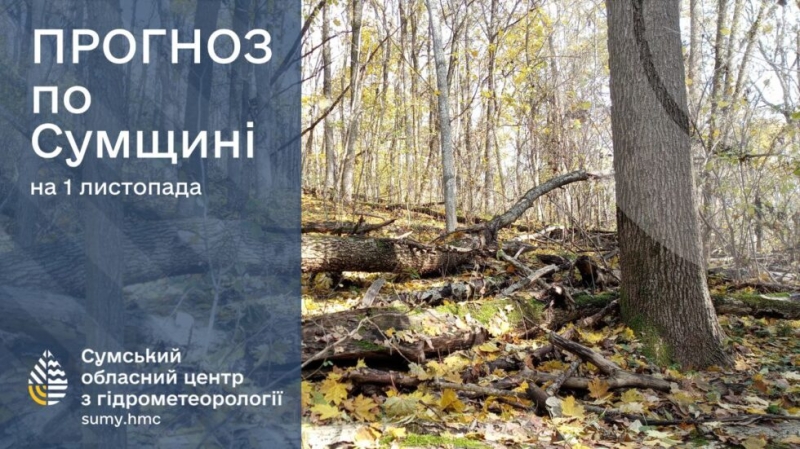 Яку погоду на вихідні прогнозують сумські синоптики?
