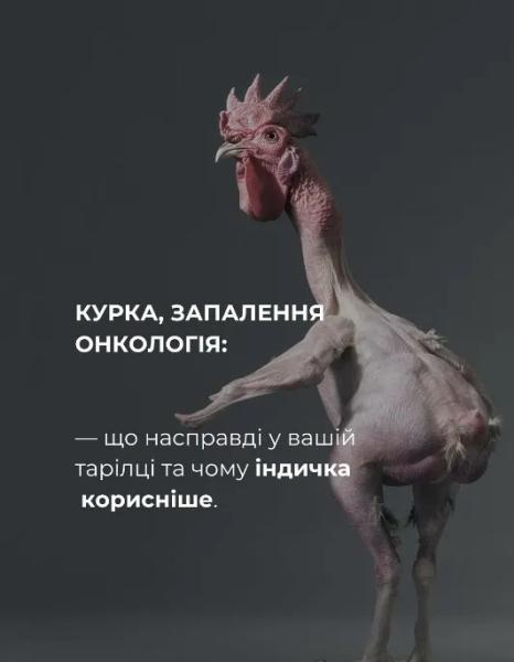 М»ЯСО ЯКОЇ ПТИЦІ КРАЩЕ НЕ ЇСТИ АБО ПРО ЩО Б»ЮТЬ НА СПОЛОХ ОНКОЛОГИ