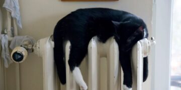 На Рівненщині починають подавати тепло до квартир