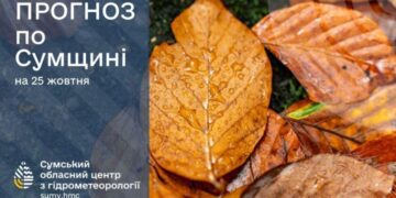 На Сумщині вночі прогнозують сильний вітер із дощем