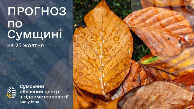 На Сумщині вночі прогнозують сильний вітер із дощем