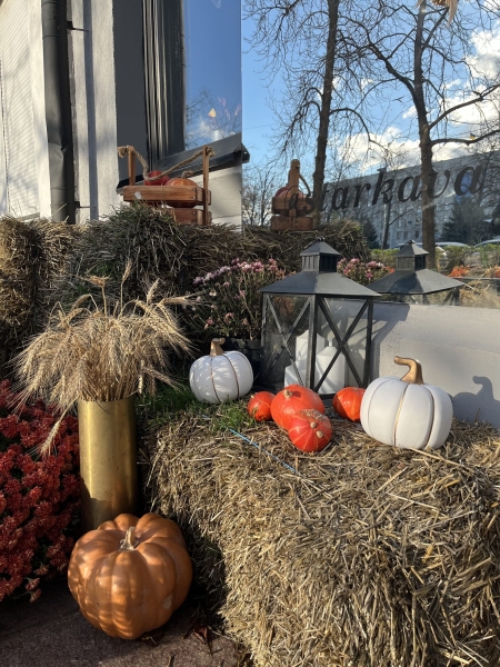 Полтава – в атмосфері Хелловіну: моторошні декорації, гарбузи та відьми на вулицях міста