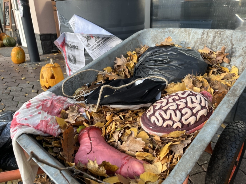 Полтава – в атмосфері Хелловіну: моторошні декорації, гарбузи та відьми на вулицях міста