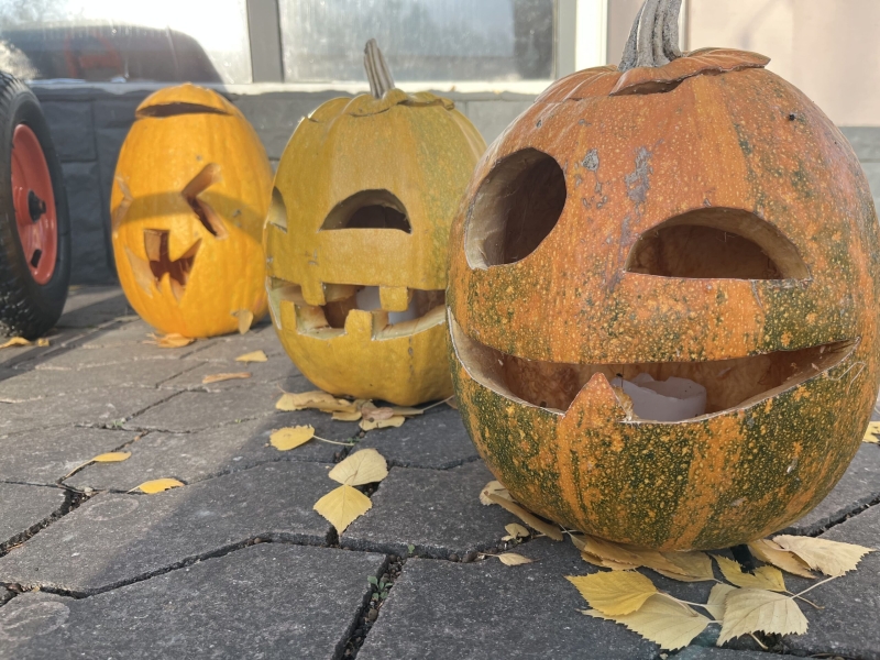 Полтава – в атмосфері Хелловіну: моторошні декорації, гарбузи та відьми на вулицях міста