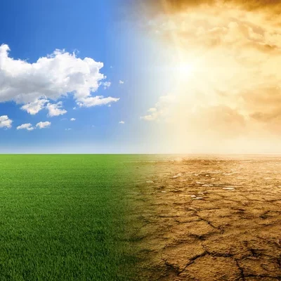 Полтавщина готуватиметься до кліматичних викликів разом із Європою