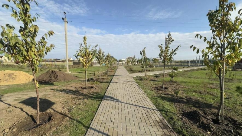 Сакури, клени та барбариси: у Миколаєві створюють новий зелений простір, - ФОТО