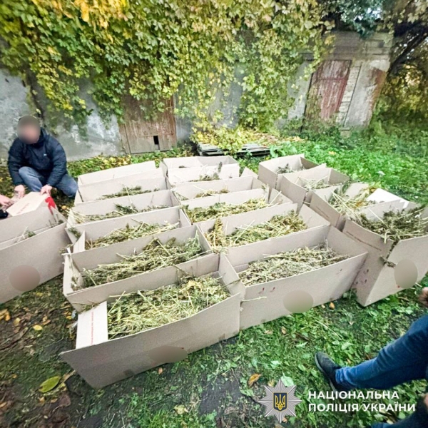 У двох жителів Рівного забрали наркотиків на 7,5 мільйонів гривень (ФОТО)