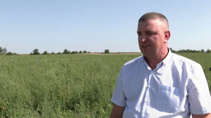 У Рівному цибуля рекордно подешевшала. А от яблука стають дорожчими за тропічні банани