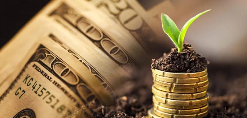 Верховна Рада ухвалила створення Виплатної агенції. А це стосується якраз аграрного сектор у економіки