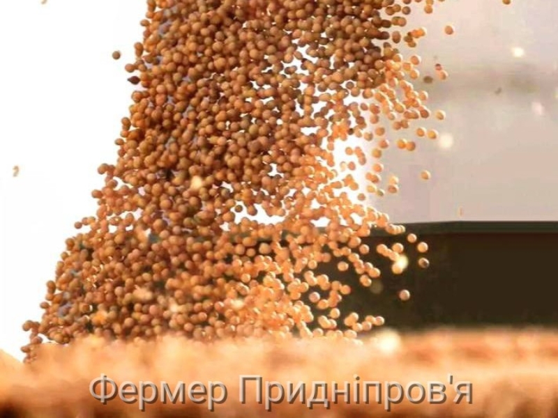 Запровадження 10% мита вдарило по довірі до України як постачальника