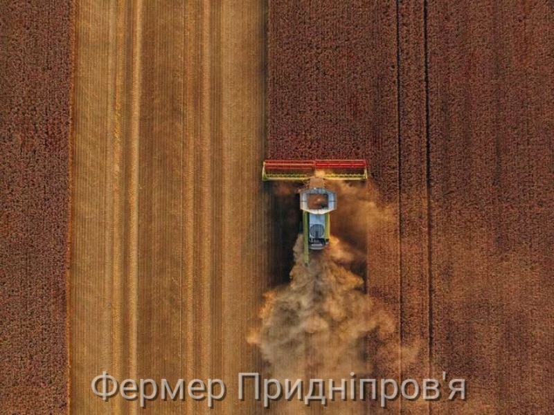 Жовтневі мінімальні експортні ціни на зерно та олію