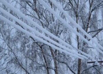 “Дикий мороз чи аномальна ситуація”: синоптики сказали, де саме завирують хуртовини і завірюхи