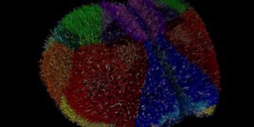 Суперкомп’ютер створив найреалістичніший віртуальний мозок у світі