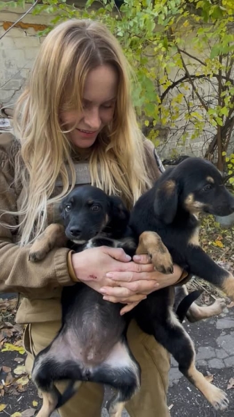 «12 вартових» — команда, що рятує тварин від війни