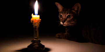 Для промисловості – п’ять черг обмежень: на Хмельниччині вводять новий графік споживання електроенергії