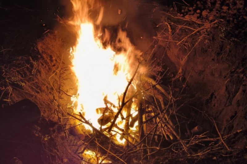 "Трупи спалено і захоронено": на Тернопільщині виявлено спалах жахливої хвороби (ФОТО)