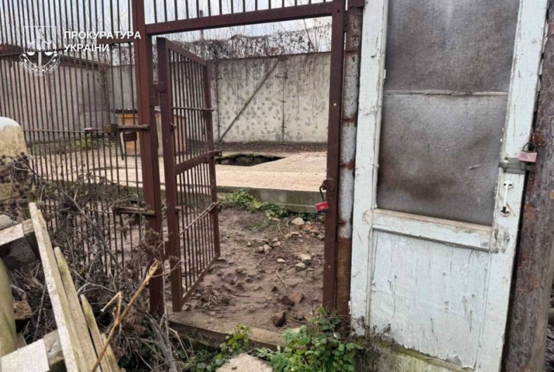 У Хмельницькому з приватного центру втекли дві левиці