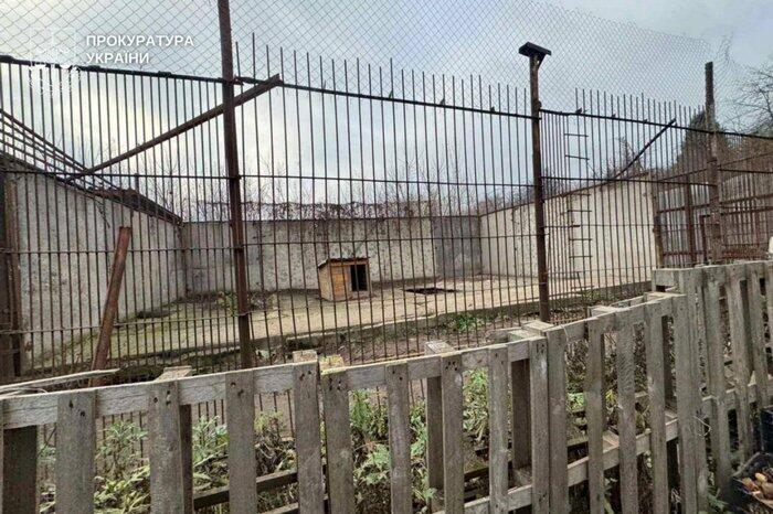 У Хмельницькому з приватного центру втекли дві левиці