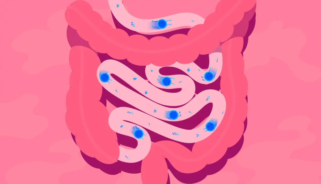 Микробиота кишечника