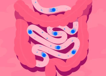 Микробиота кишечника