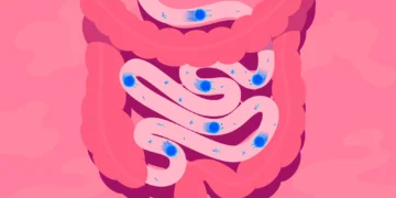 Микробиота кишечника