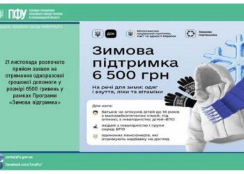 Грошова допомога 6 500 грн у рамках Зимової підтримки: перелік категорій