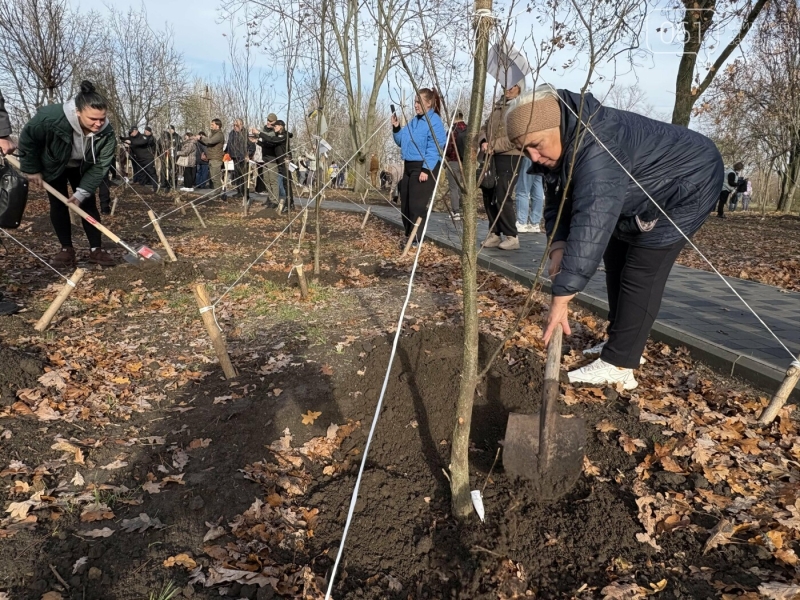 «Місце, де кожне дерево має імʼя»: на Хортиці в «Парку Честі» висадили 205 нових дерев, - ФОТОРЕПОРТАЖ