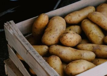 “Покладіть це на мішок, і картопля пролежить у квартирі аж до весни”: три перевірені поради для українців