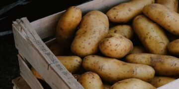 “Покладіть це на мішок, і картопля пролежить у квартирі аж до весни”: три перевірені поради для українців