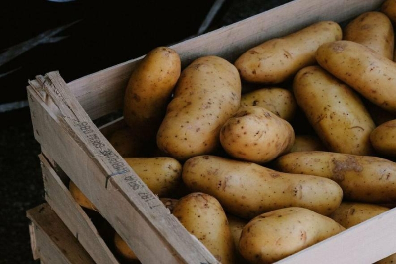 "Покладіть це на мішок, і картопля пролежить у квартирі аж до весни": три перевірені поради для українців