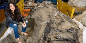 Вчені відкрили новий малий вид тиранозавра