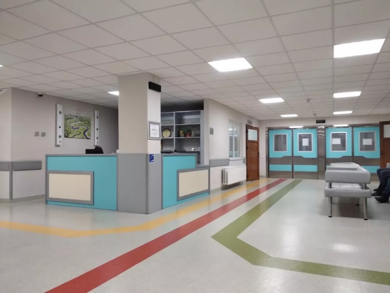 «Я їздила до лікарень без попередження». Інтерв'ю з Валентиною Гінзбург, яка вісім років очолювала медицину Києва