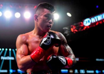 Хегай прокоментував свій дебютний титульний поєдинок