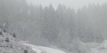 Зима увірвалася раптово: на Прикарпатті насипало снігу “по коліна” і мете далі (ФОТО, ВІДЕО)