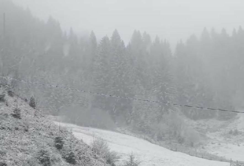 Зима увірвалася раптово: на Прикарпатті насипало снігу "по коліна" і мете далі (ФОТО, ВІДЕО)