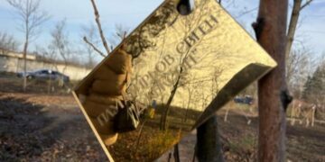 «Місце, де кожне дерево має імʼя»: на Хортиці в «Парку Честі» висадили 205 нових дерев, – ФОТОРЕПОРТАЖ