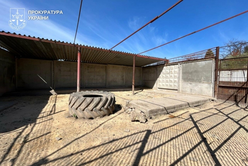 Утримував левів без дозволів: у Хмельницькому власнику притулку повідомили про підозру