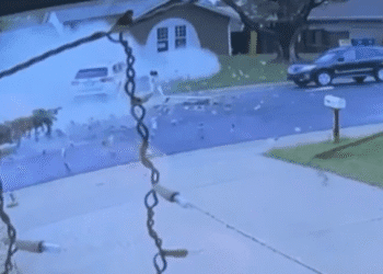 Будинок став мішенню для ДТП: чоловік витратив $30 тисяч, щоб захистити сім’ю (ВІДЕО)