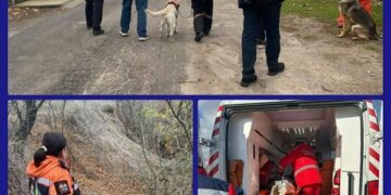 На Запоріжжі поліцейські і команда кінологів впродовж двох днів шукали 82-річну жінку