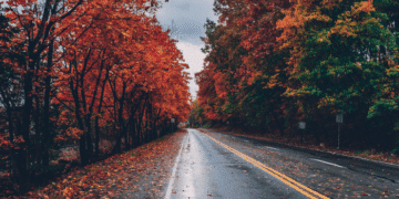 Жовтень на Хмельниччині: прохолодніший за норму, з опадами вище середніх