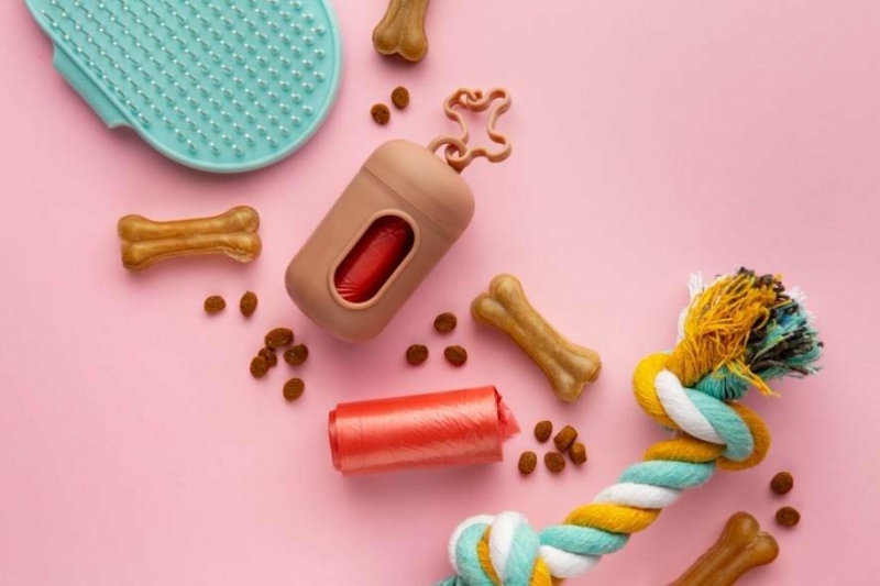 Лайфхак для квартири з тваринами: аксесуари, які спрощують життя