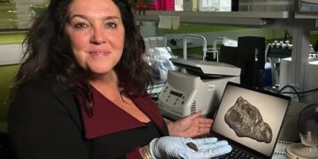 В Естонії знайшли смолу, яку жувала дівчина кам’яної доби