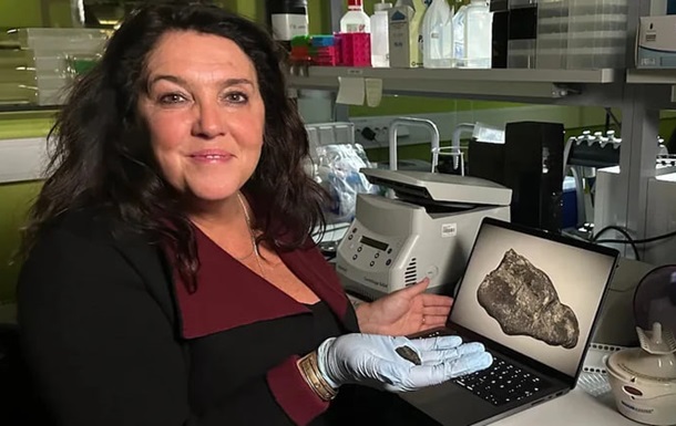 В Естонії знайшли смолу, яку жувала дівчина кам’яної доби