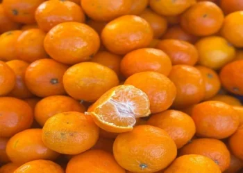 У Києві на вихідних 22-23 листопада відбудуться продуктові ярмарки (адреси)